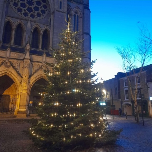 Christmas tree donation