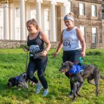 two people running with dogs on leads