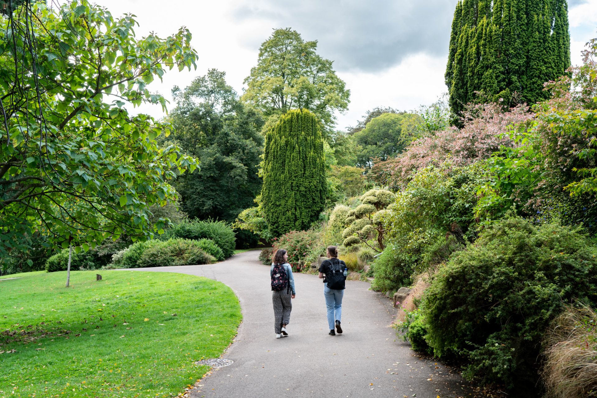 Wadebridge Walking Group