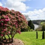 Waiting For The King,