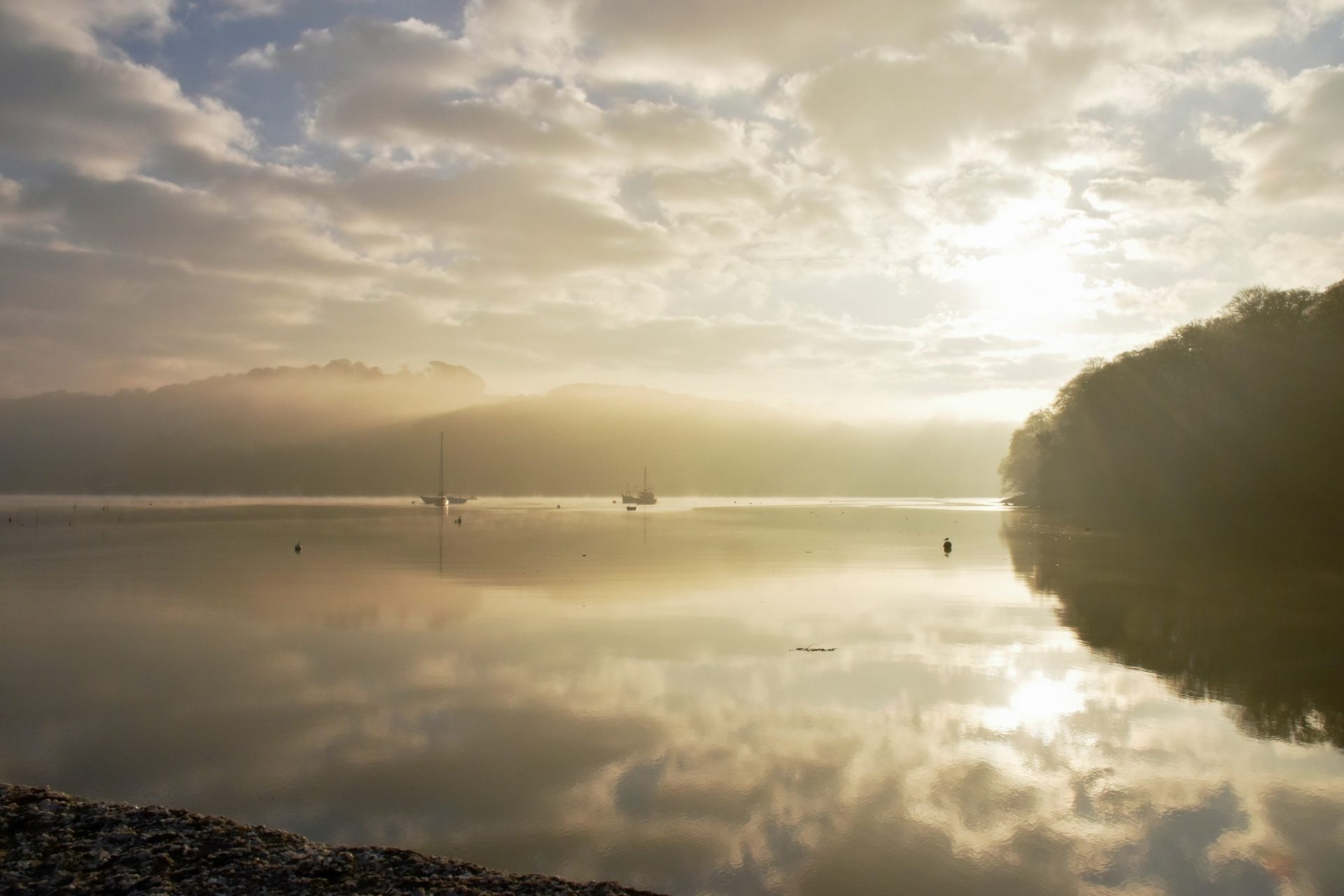 Sunrise Walk at Trelissick