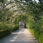 Two people walking under an arch of trees at Heligan