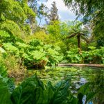 A view of the gardens at Heligan